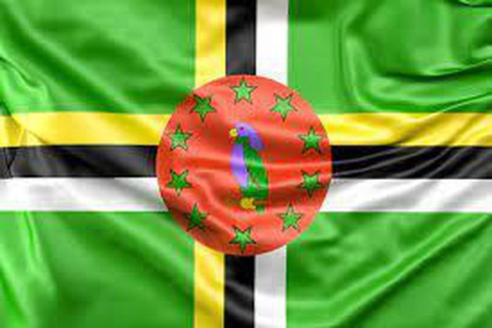 How to immigrate to Dominica from Africa? A complete guide (Immigration&Residency)