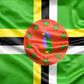 How to immigrate to Dominica from Africa? A complete guide (Immigration&Residency)