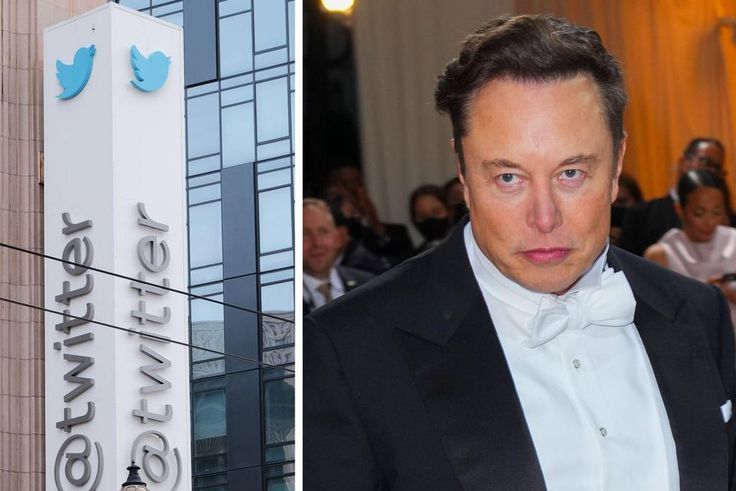Elon Musk, Twitter's new owner.David Odisho/Getty Images; Gotham/Getty Images