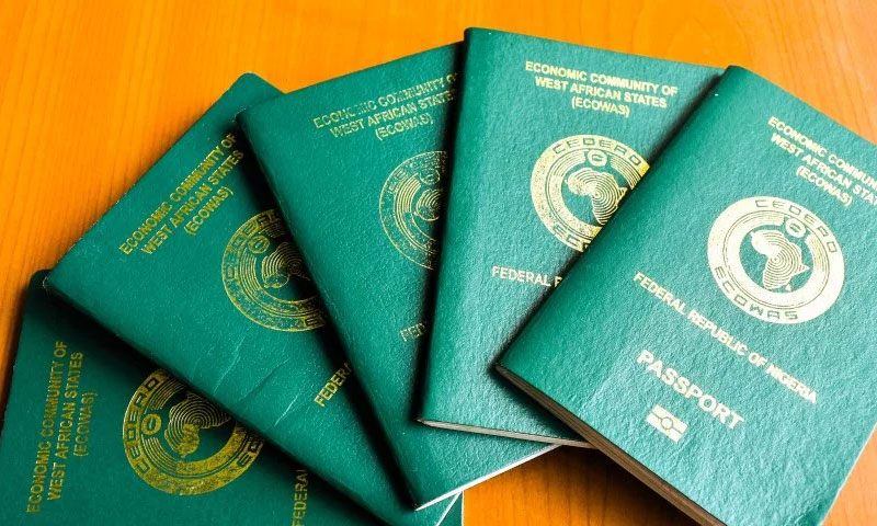 International passports [Dignited]