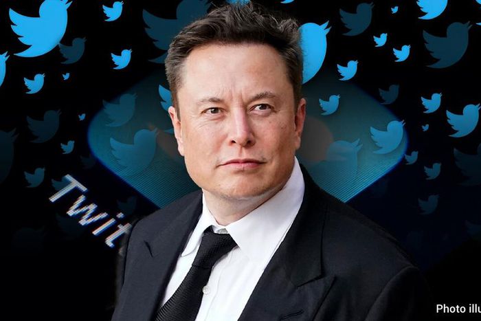 Elon Musk announces new 'lavish' Twitter subscription for ads-free service