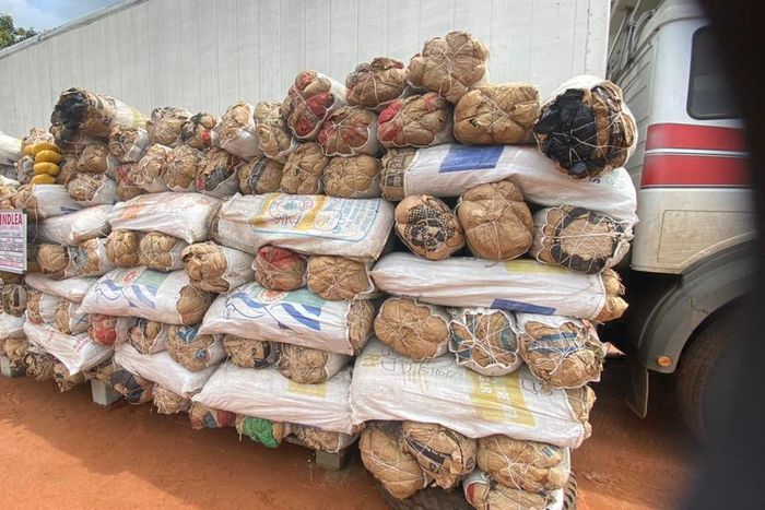 NDLEA intercepts Europe-bound cocaine, meth at Lagos Airport  [Facebook:NDLEA]