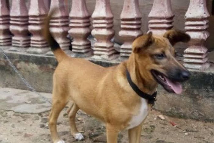 Police is investigating the incident [Seyioneblog]