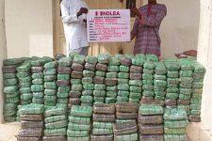 NDLEA arrests 2 members of Afro-Europe cartel