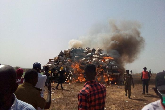 NDLEA destroys 15.7 tonnes of illicit drugs in Kano [NAN]