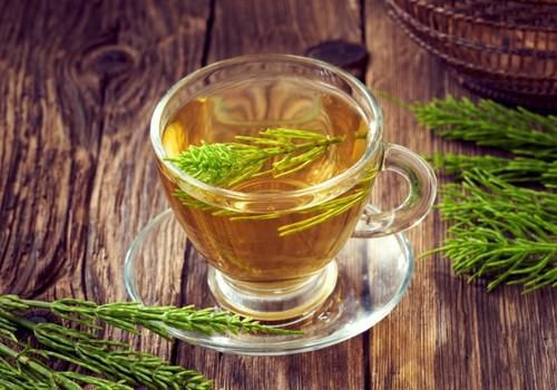 Horsetail tea [Lelex Tea]
