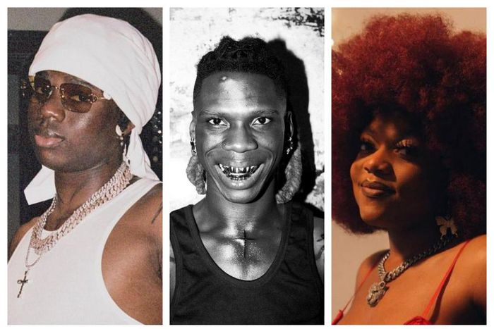 Rema, Seyi Vibez, Labianca