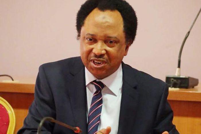 Senator Shehu Sani. [Guardian]