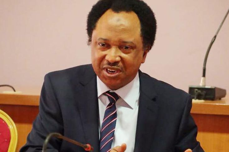 Senator Shehu Sani. [Guardian]