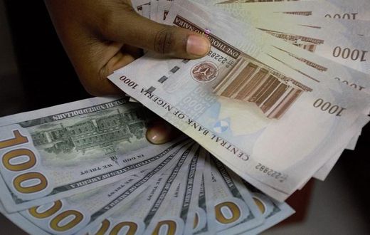 Naira and dollar [Ripples Nigeria]