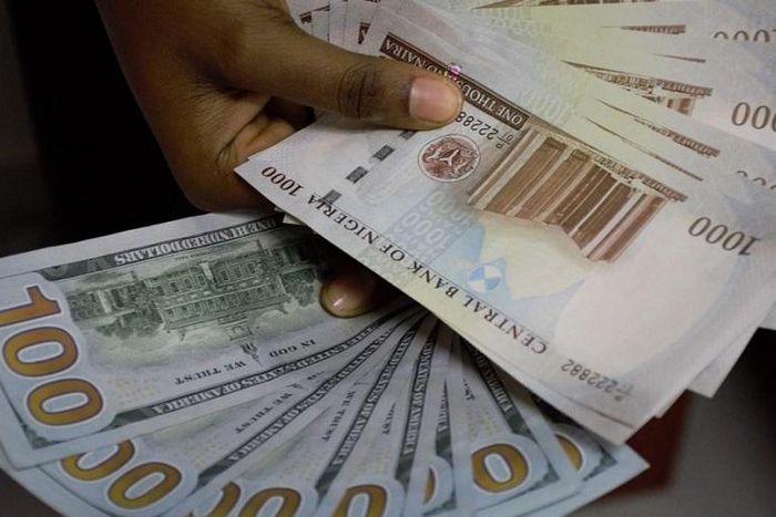 Naira and dollar [Ripples Nigeria]