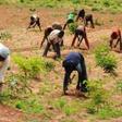 Farmers in Nigeria