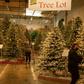 Shoppers in Glendale California purusing the artifical Christmas tree lot.Mel Melcon/Getty Images