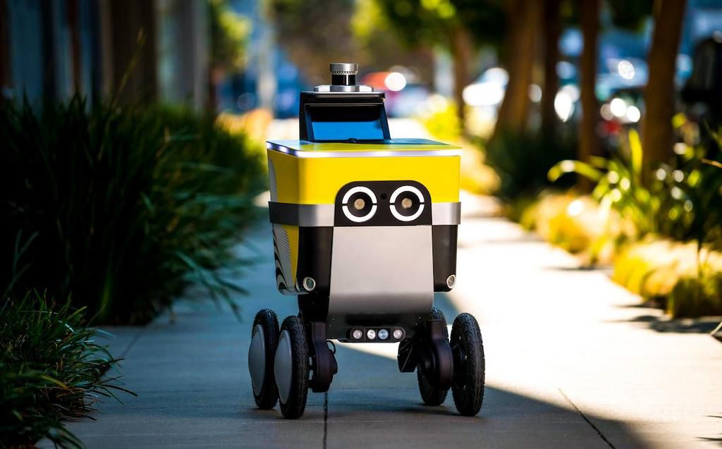 VIDEO: 'Can't happen in Africa' robot delivers food order to surprised customer/Courtesy