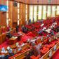 Nigerian senators [Nigerian Senate]
