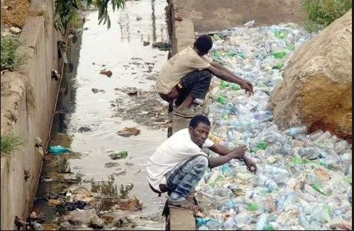 Defecating in the open...with style