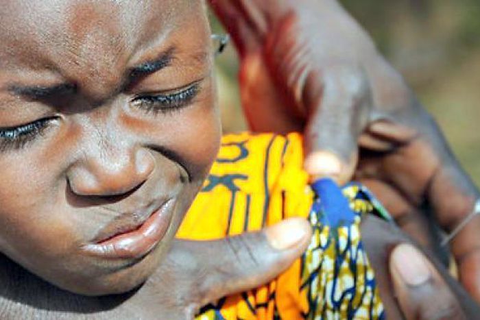 Katsina Govt. to immunise 7m residents against Yellow Fever [cgtn]