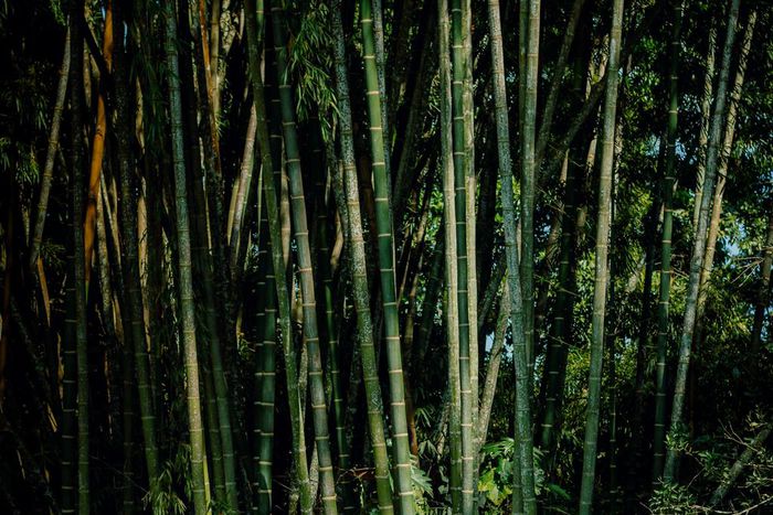 6 silent glow-ups we need to make viral in real life/Pexels