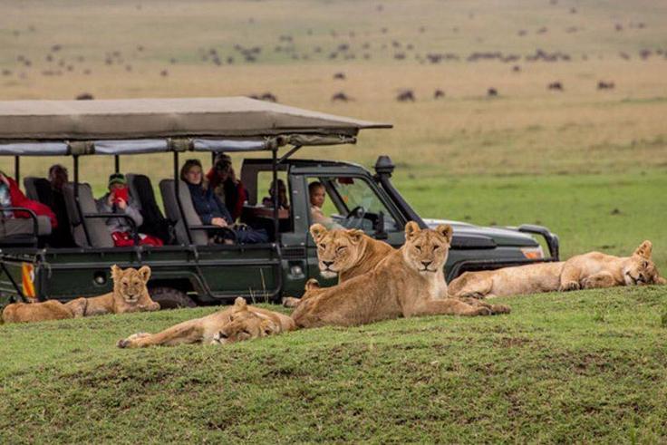Masai Mara Safari