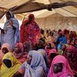 Sudanese Refugees (MSF)