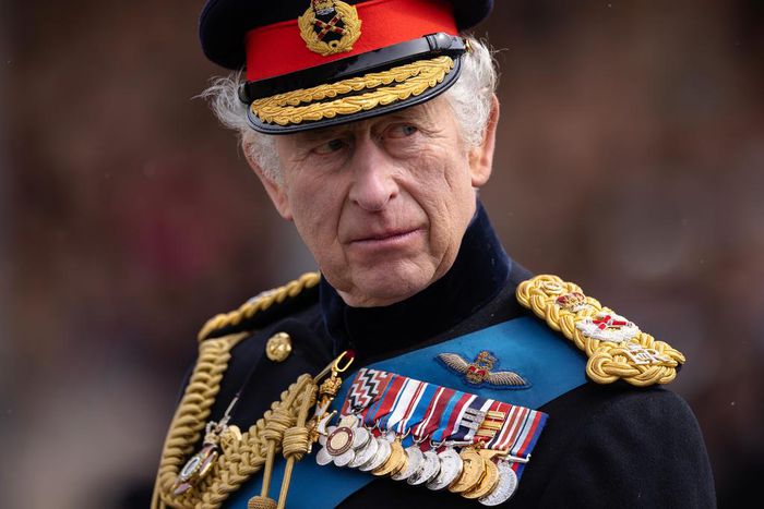 King Charles III at the 200th Sovereign's parade at Royal Military Academy Sandhurst on April 14, 2023.Dan Kitwood/Getty Images