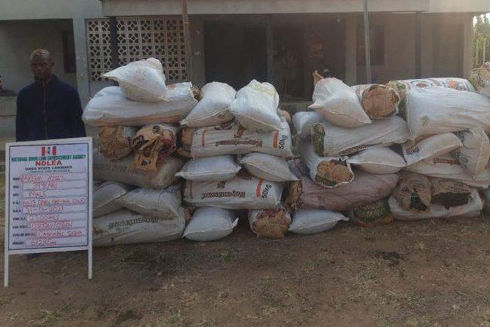 Illicit drugs recovered by the NDLEA operatives.