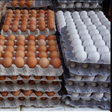 Plateau govt buys 5,000 egg crates to help farmers.