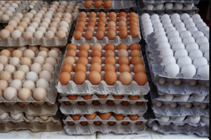 Plateau govt buys 5,000 egg crates to help farmers.