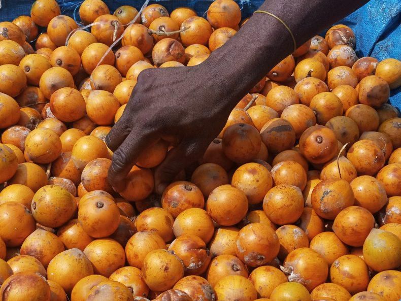 Health benefits of African star apple/Agbalumo/Udara [Kitchen butterfly]
