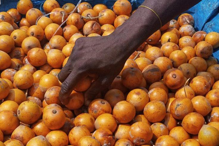 Health benefits of African star apple/Agbalumo/Udara [Kitchen butterfly]