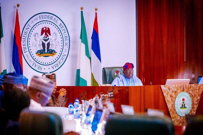 President Bola Tinubu presiding over the Federal Executive Council meeting. [Daily Trust]
