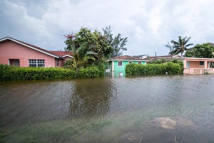 Houses line a flooded street after the effects of Hurricane Dorian arrived in Nassau, Bahamas.John Marc Nutt / Reuters