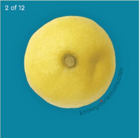 dimpling. Knowyourlemons.com