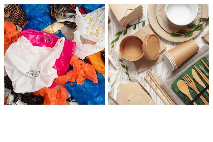 Common household items we don't dispose properly [Guardian/stockphoto]