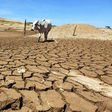 FG wants companies fighting climate change to begin account disclosure Jan 2024. [HumAngle]