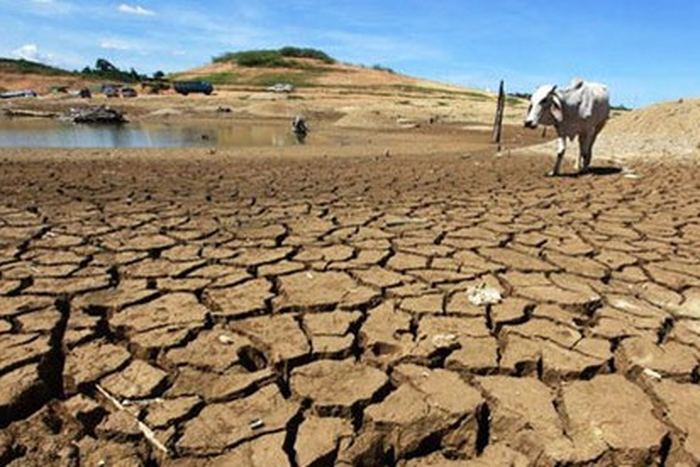 FG wants companies fighting climate change to begin account disclosure Jan 2024. [HumAngle]