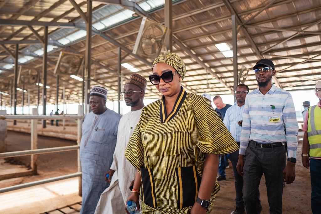 Arla Farm: Kaduna Government lauds Arla Foods on investment in local dairy sector