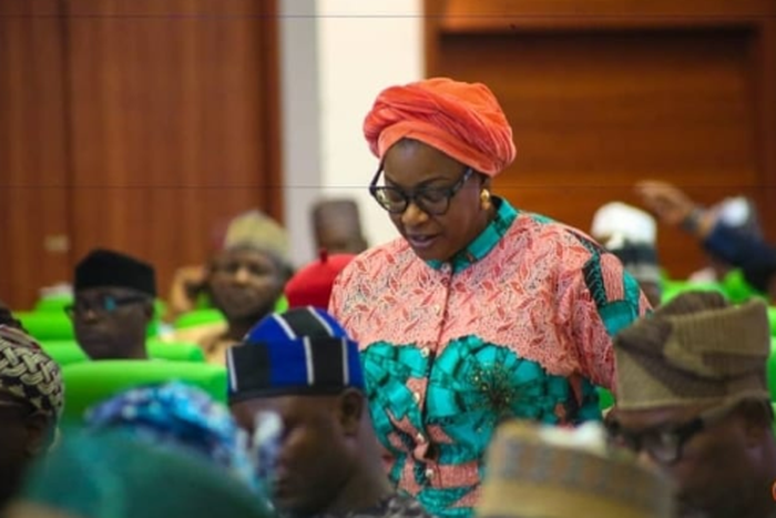 Tolulope Akande-Sadipe, Lawmaker representing Oluyole Federal Constituency