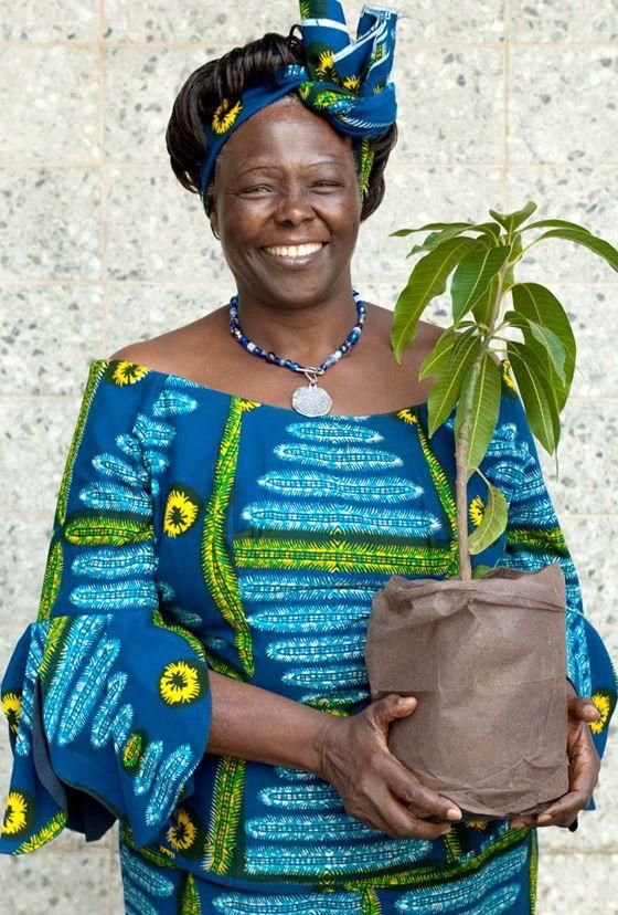 Wangari Maathai was referred to as the woman of trees [Pinterest]