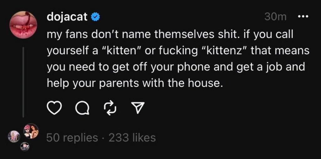 Doja cat slams her fans for naming themselves 'Kittens'.