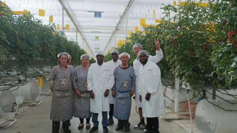 What Nigeria can learn about agricultural development from my China field trip