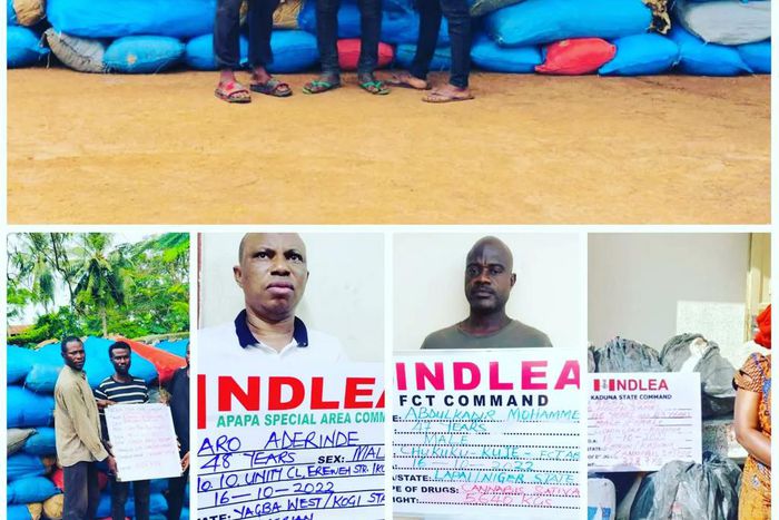 NDLEA arrests 10 suspects in massive operation, seizes drugs in 5 states. [Twitter:NDLEA]