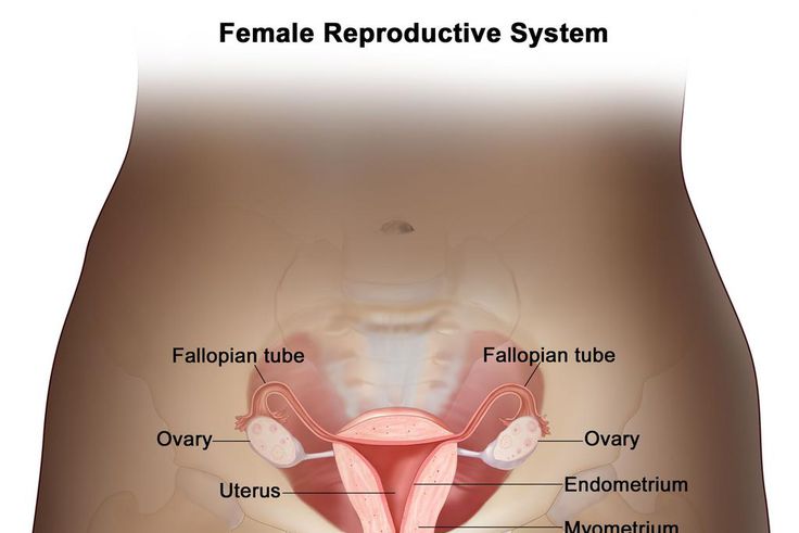 Why no woman should die from Cervical Cancer. [cancer]