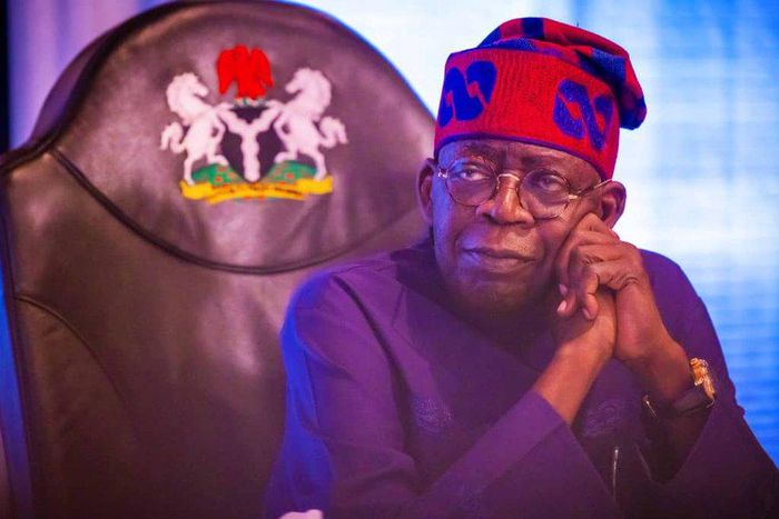 President Bola Tinubu  [Presidency]