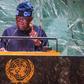 President Bola Tinubu [Premium Times]