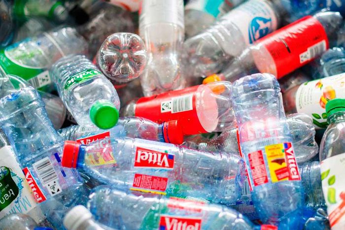 Experts raise awareness on dangers of pollutants in plastics.