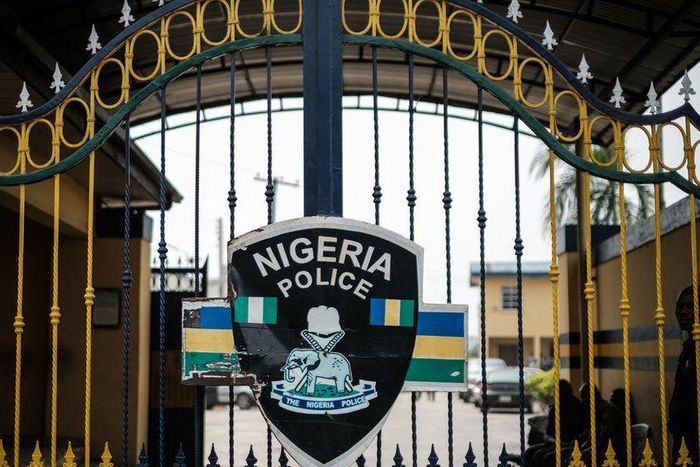 The suspects confessed to being a syndicate of serial fraudsters [Daily Trust]
