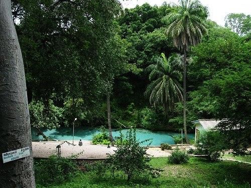 Yankari Game Reserve