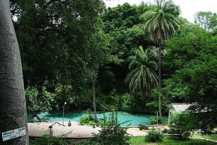 Yankari Game Reserve