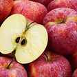 Apple seeds are not exempted [Britannica]
